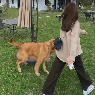 六尸案